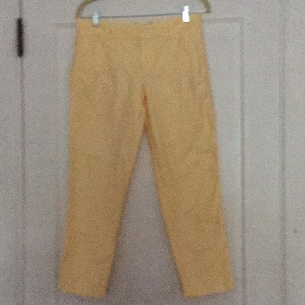 J Crew Oxford Scout Pant